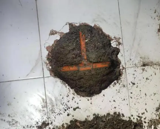洛龙查漏水多少钱