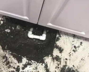 洛龙查漏水哪家好